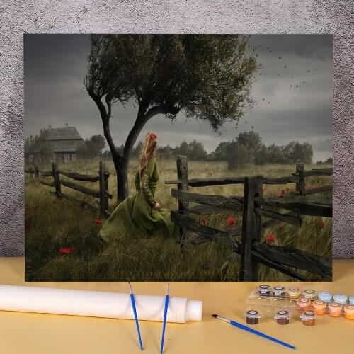 Woman Girl Paint By Numbers Package Acrylic Paints 40*50 Paiting By Numbers Decorative Paintings For Adults Handicraft