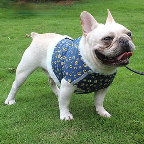 Copetsla Soft Plush Pet Dog Harnesses Vest No Pull Adjustable Chihuahua Puppy Cat Harness Leash Set For Small Medium Dogs Coat