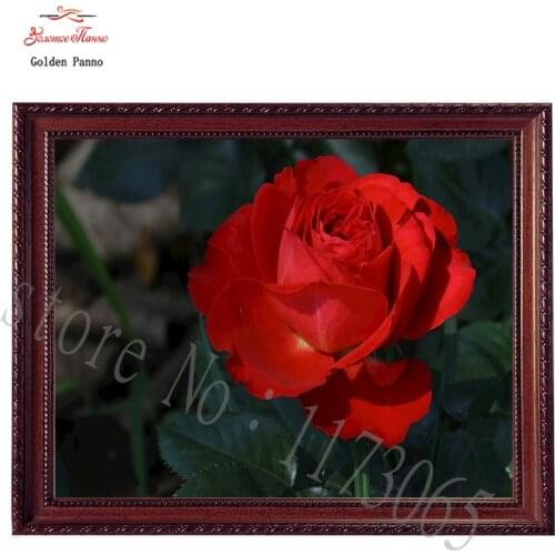 Needlework,DIY DMC 14CT 11CT printed Cross stitch,Embroidery kits flower white canvas Counted Cross-Stitching