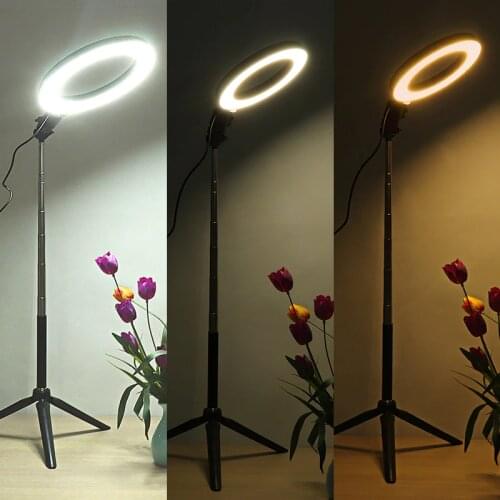 CLAITE Floor Lamps
