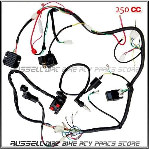 Full Wiring Harness Loom Solenoid Coil Regulator CDI 200cc 250cc ATV Quad Bike
