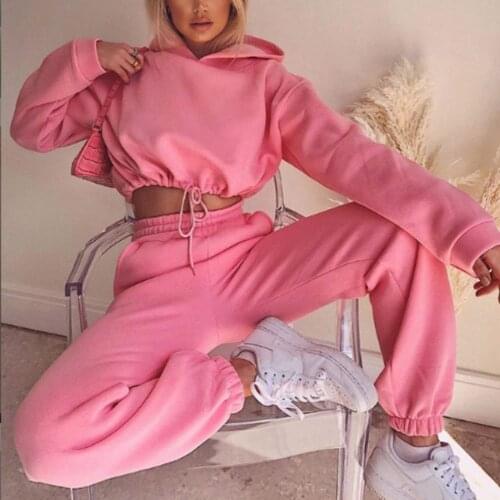 Two Piece Set Casual Tracksuit Women Pink Crop Tops And Pant Womens Sets Hooded Long Sleeve Hoodie Sport Pants Lady Suit