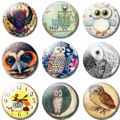 Fridge Magnets OWL 30MM Glass Dome Refrigerator Whiteboard Blackboard Teaching Magnetic Stickers Cute Cartoon Animals Home Decor
