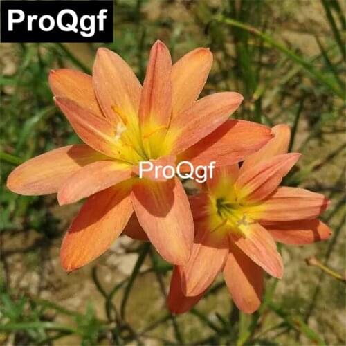 Prodgf 1 Set diameter 65cm height 40cm Ottoman Round Velvet Ins Stool