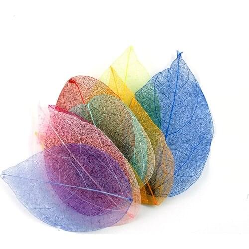 20pcs Natural Craft Pressed Dried Leaves Diamond Leaf Vein Skeleton Leaves DIY Scrapbooking Wedding Party Festival Decoration