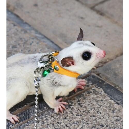 Sugar Glider Towing Harness Little Pet Outdoor Collar 3 Size In One Anti-lost Clothes Leash For Small Pet Supplies Leashes ZA212