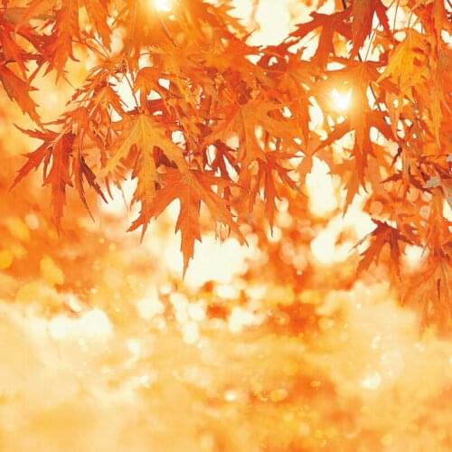 Golden Maple Leaf Baby Shower Photography Backdrop Celebration Photo Booth Studio Decor