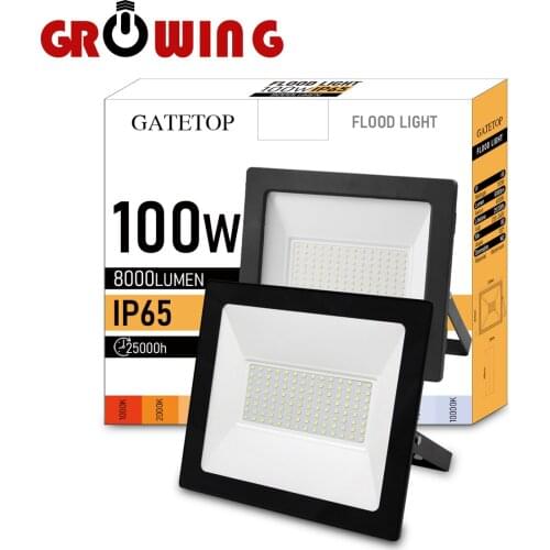100w Floodlight Super Bright! IP65 Dust-proof Waterproof Outdoor LED Light 220-240V High Lumen for Garden Courtyard Street