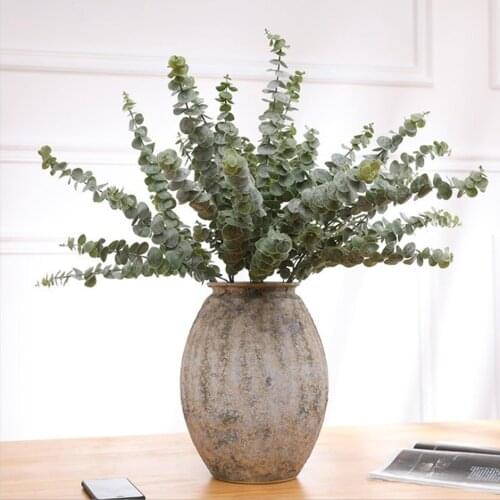 5PCS Real Dried Natural Fresh Forever Eucalyptus Branches,Decorative Grass Coins,Dry preserved Eternal Leaves For home