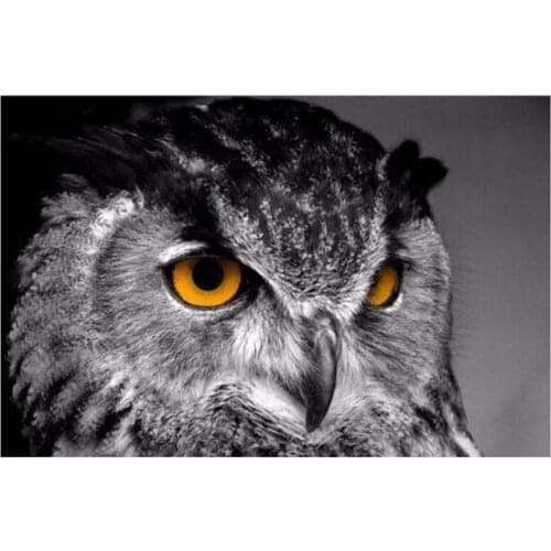 5D Full Square/Round Animal Cool Owl Diamond Painting Picture Of Rhinestone Cross Stitch Embroidery Mosaic Handmade Decor XN1024