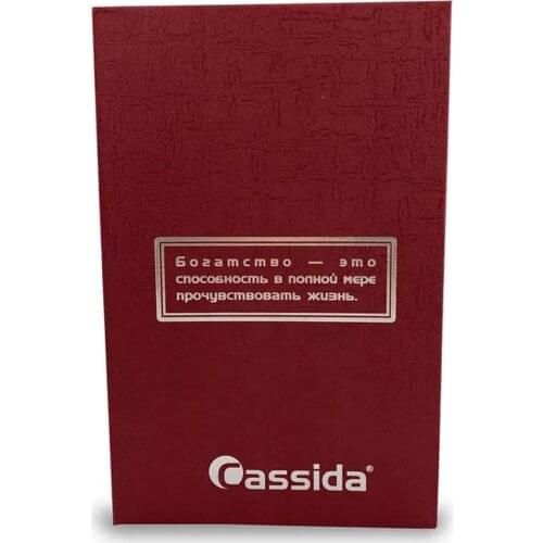Cassida Safes