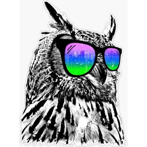 5" Graphics Cool Owl Vinyl Waterproof Sticker Decal Car Laptop Wall Window Bumper Sticker