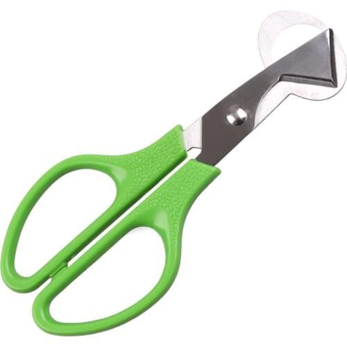 Quail Egg Scissors Bird Egg Scissors Cracker Stainless Steel Egg Cutters Pigeon Scissor Cutters Egg Shell Cutters Egg Opener