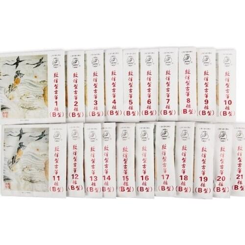 DunHuang type B Guzheng Strings, Whole set contains 21 pieces