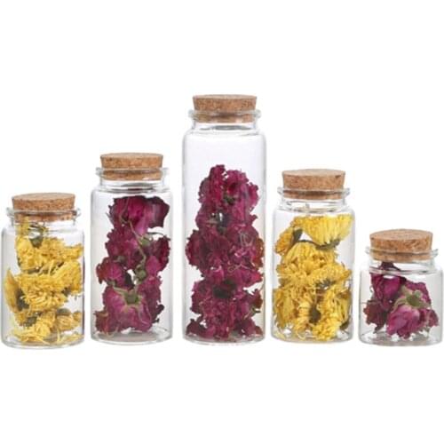 3Pcs 50/60/90/100/120/150ml Transparent Cork Stopper Glass Bottles Jar Vials
