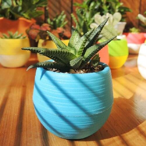 Cute Succulent Plants Flower Pot Saucer Tray Planter Home Desk Garden Decor