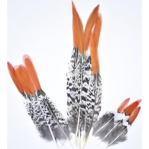 Natural Lady Amherst Pheasant Feathers for Crafts 5-30cm/2-12" Feathers for Jewelry Making Decor Decoration Plumas Carnaval Top