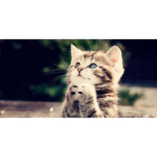 Towel Custom Cute Cat Prayer Microfiber Beach Towels serviette de plage toalha Gym Sport Drying Travel Shower Bath Towels