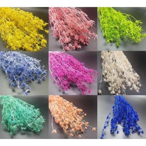 90-100g Dried Dyed Eryngium Planum Flower For Wedding Party Home Hotel Decoration DIY Bouquet Project Making Accessory