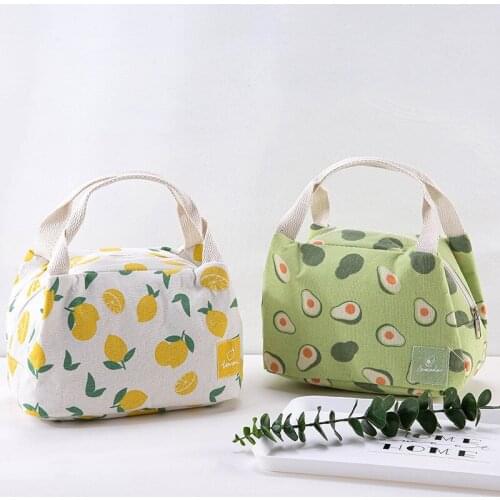 Fruit Print Pattern Food Picnic Lunch Box Bag for Women Kids Men Lunch Bag Cooler Bag Canvas Thermal Insulated Tote Bag
