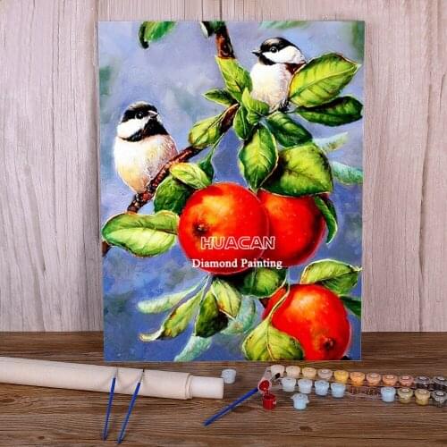 Bird Animal Paint By Numbers Set Acrylic Paints 50*70 Picture By Numbers Photo Loft Wall Picture Crafts For Handiwork