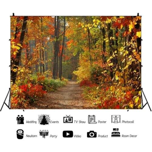 Falling Leaves In The Forest In Late Autumn Backdrop Photo Background Vinyl Portrait Photography Photocall Booth Props