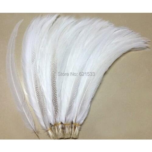 50Pcs/lot! 70-75cm Super Long Natural Silver Pheasant Tail Feathers,Silver Pheasant Tails,long feathers