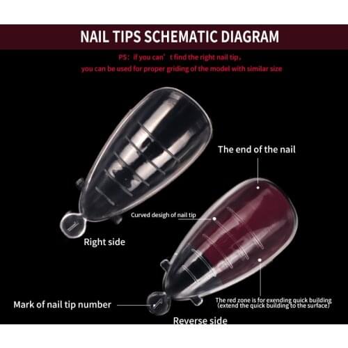2021 new full coverage almond shape plus false nail mold gel polished extension tip quick build mold extension Nail Tool