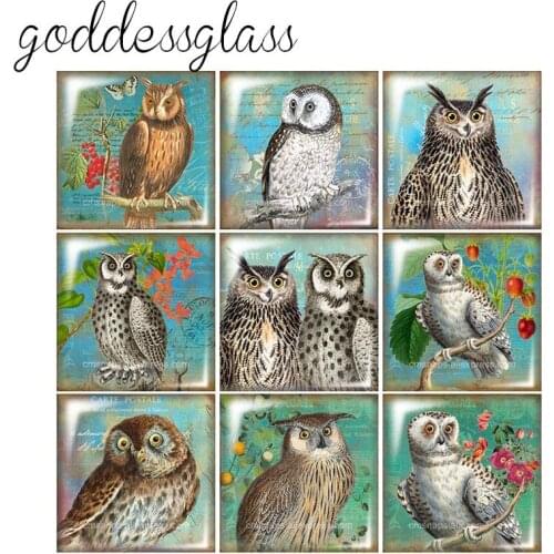 New Vintage Owl Painting Birds animals 10pcs 12mm/20mm/25mm/30mm Square photo glass cabochon demo flat back Making findings