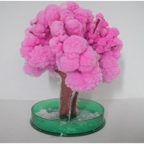 2020 5PCS 14x11cm Pink Big Magic Grow Paper Japanese Sakura Tree Growing Trees Kit Desktop Cherry Blossom Hot Kids Toys Novelty