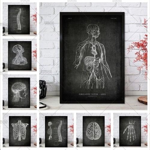 Skull Internal Organs Picture Chalkboard Anatomy Art Home Wall Decor Room Hospital Doctor Office Quality Canvas Painting Poster
