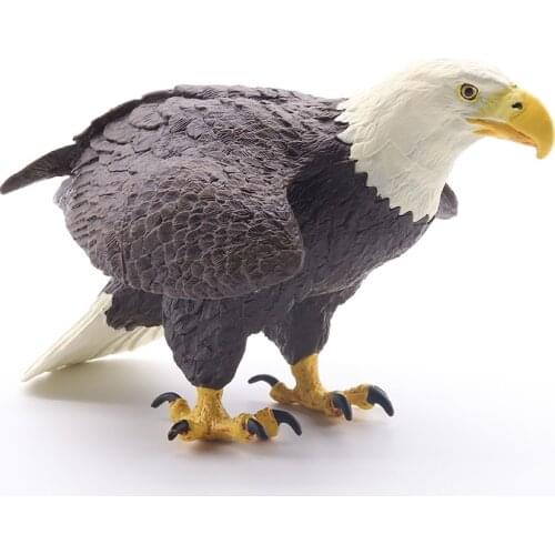 Simulation eagle kite harrier bald eagles raptor model wild animal birds ornaments