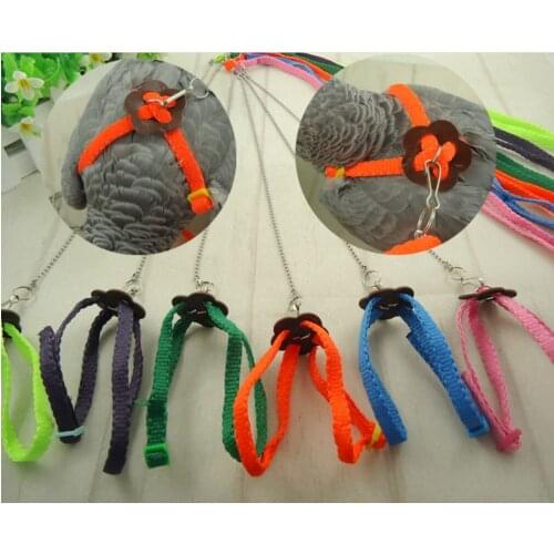 Pet Bird Harness and Leash, Adjustable Bird Flight Rope for Ringneck Parrot African Greys Budgies ParakeetTraing and Playing