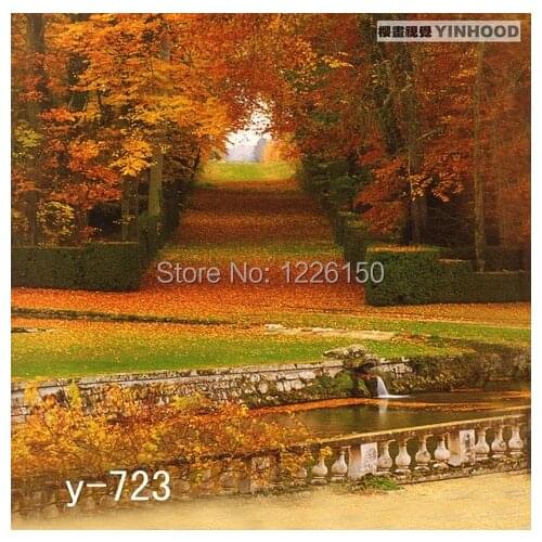 Mysterious scenic Backdrop y-723,10ft x20ft Hand Painted Photography Background,estudio fotografico,backgrounds for photo studio