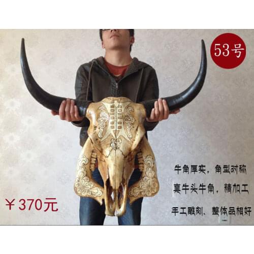 Head Arts Crafts Yak skull handicraft, genuine ox head ornament, cattle and sheep skull specimen, characteristic handicraft, ox