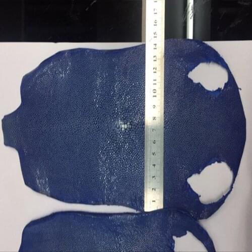 Dark blue Polished Genuine Stingray Leather Skin Piece for Phone Pad/ Wallet/Shoes,Free Shipping