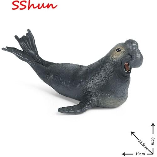 19*12.5*8cm childrens cognitive science and education toy simulation marine wildlife model solid large walrus seal ornament