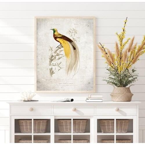 Bird of Paradise Vintage Print Bird Illustration Poster Retro Wall Art Canvas Painting Picture for Living Room Home Decoration