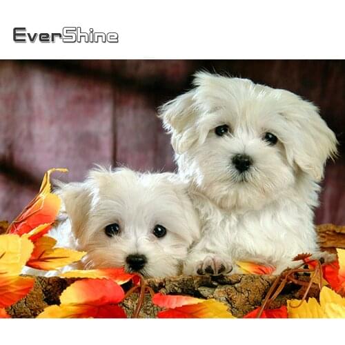 Evershine 5D Diamond Mosaic Sale Dogs Cross Diamond Painting Full Drill Square Animals Rhinestones Pictures Diamond Embroidery