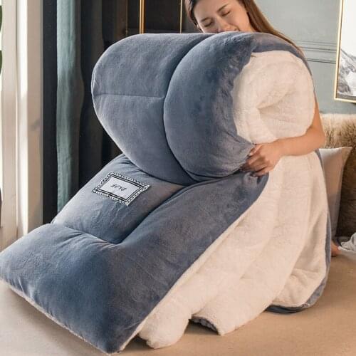 Thick Warm Quilt Dormitory Student Autumn Quilt Lamb Wool Soft Warm Quilt Winter Core Space Bedding