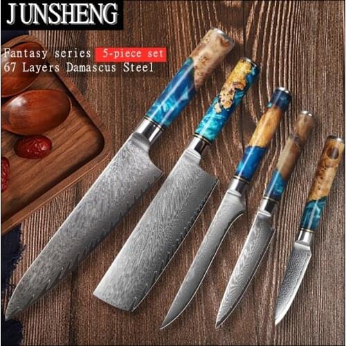 JUNSHENG Multifunctional Kitchen Knife 67 Layers Damascus Steel Blade Shade Wooden Handle 5-Piece Combination Kitchen Knife