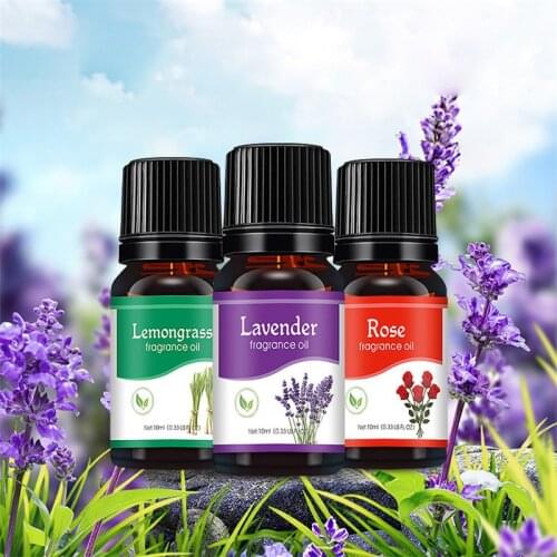 New 12 Flavors Essential Oil Gift Box Tea Tree Peppermint Lavender Lemongrass Eucalyptus Vanilla Cinnamon Sandalwood Oil 10ml