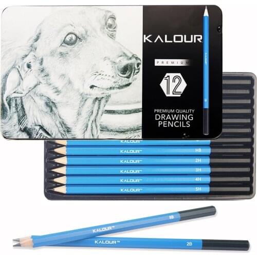 12Pcs Professional Wood Drawing Sketch Pencil Soft Pastel Colored Pencils Charcoal Pen For Student Drawing Sketch Art Supplies