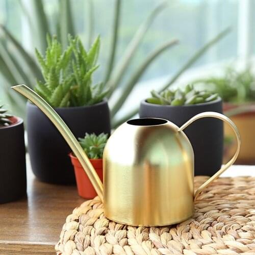 Long mouth garden watering pot watering pot Stainless steel watering pot household watering pot potted green plant watering pot