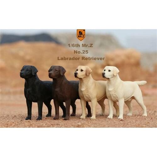 Mr.Z Studio 1:6 Labrador Retriever Loyal Dog Pet Figure Animal Decor Model Toy Kid Gift Play Peripheral Ornaments Decoration