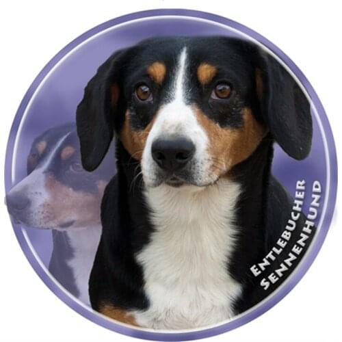 S40361# Various Sizes PVC Decal Entlebucher Sennenhund Dog Car Sticker For Bumper Rear Window Laptop Refrigerator Toilet