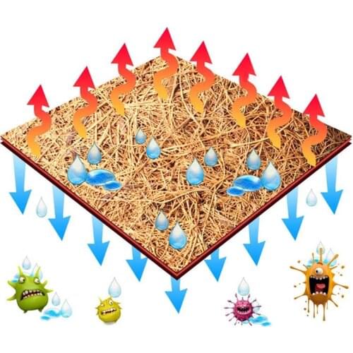 HOT Reptile Pet Bed Mat Aquarium Tortoise Turtle Lizard Reptiles Climbing Coconut Palm Carpet NDS