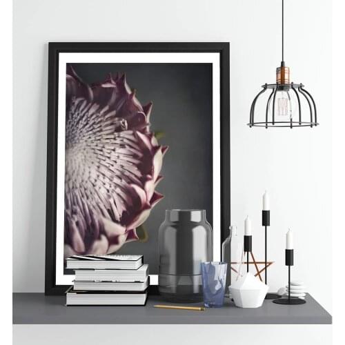 Nordic Flowers Poster Protea Canvas Painting Photography Wall Art Pictures For Living Room Modern Decorative Prints On The Wall