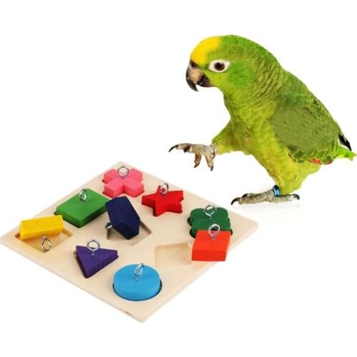 Pet Educational Toys Birds Parrot Interactive Training Colorful Wooden Block