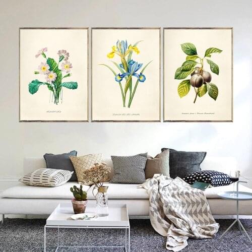 Giclee Mid Century Style Botanical Flower Print Set of 3 Home Wall Art Print Decor Picture Poster No Frame Painting